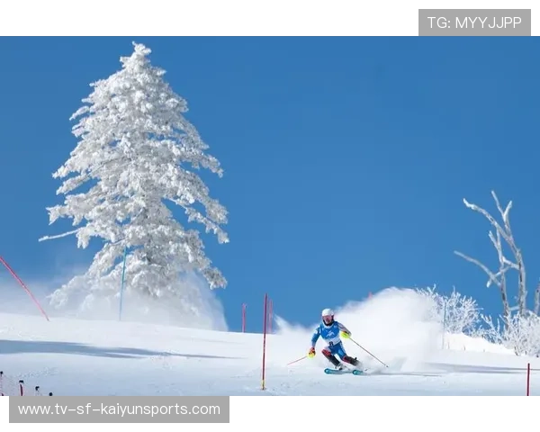 高山滑雪赛道突风，赛事紧急取消并登上头条